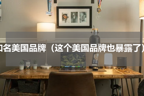 知名美国品牌（这个美国品牌也暴露了）