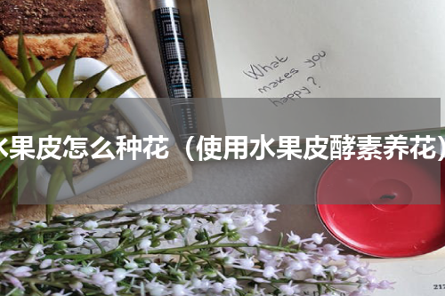 水果皮怎么种花（使用水果皮酵素养花）