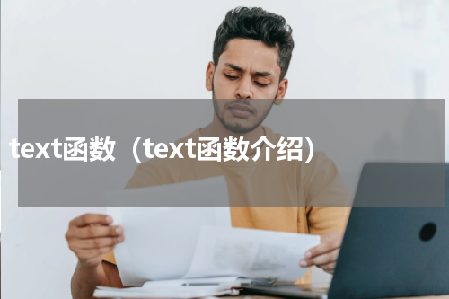 text函数（text函数介绍）