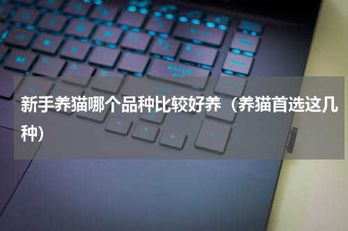 新手养猫哪个品种比较好养（养猫首选这几种）