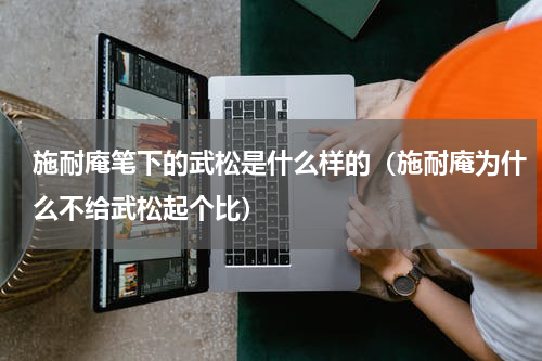 施耐庵笔下的武松是什么样的（施耐庵为什么不给武松起个比）