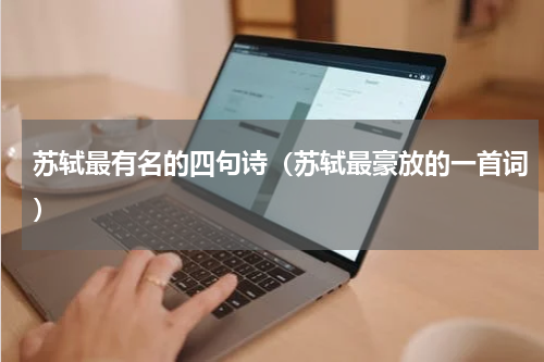 苏轼最有名的四句诗（苏轼最豪放的一首词）
