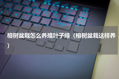 榕树盆栽怎么养殖叶子绿（榕树盆栽这样养）