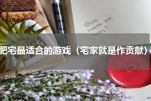 肥宅最适合的游戏（宅家就是作贡献）