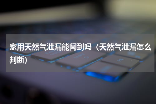 家用天然气泄漏能闻到吗（天然气泄漏怎么判断）