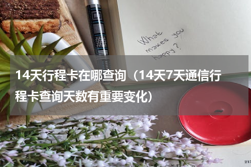 14天行程卡在哪查询（14天7天通信行程卡查询天数有重要变化）