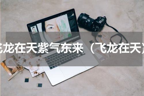 飞龙在天紫气东来（飞龙在天）