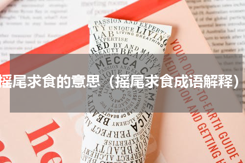 摇尾求食的意思（摇尾求食成语解释）