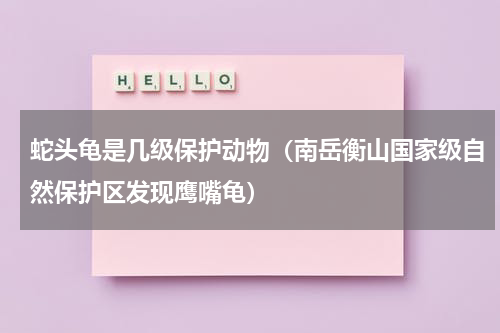 蛇头龟是几级保护动物（南岳衡山国家级自然保护区发现鹰嘴龟）
