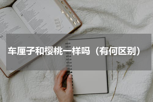 车厘子和樱桃一样吗（有何区别）