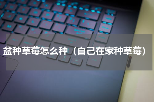 盆种草莓怎么种（自己在家种草莓）