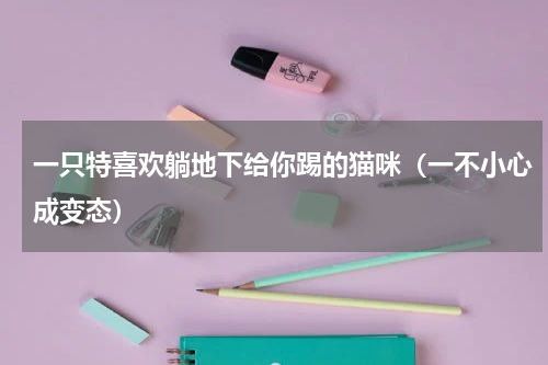一只特喜欢躺地下给你踢的猫咪（一不小心成变态）