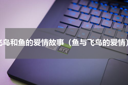 飞鸟和鱼的爱情故事（鱼与飞鸟的爱情）