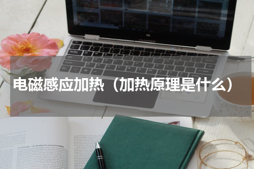 电磁感应加热（加热原理是什么）