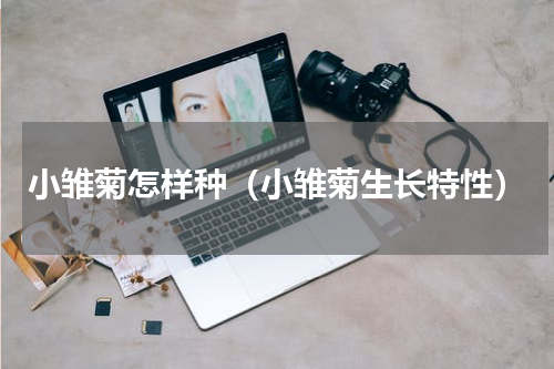小雏菊怎样种（小雏菊生长特性）