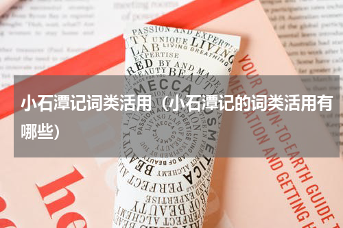 小石潭记词类活用（小石潭记的词类活用有哪些）