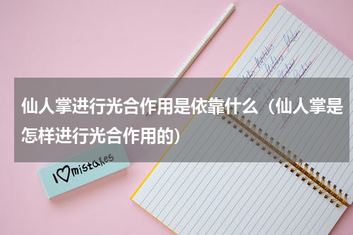 仙人掌进行光合作用是依靠什么（仙人掌是怎样进行光合作用的）