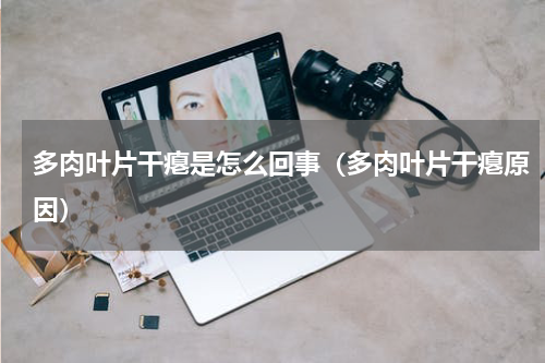 多肉叶片干瘪是怎么回事（多肉叶片干瘪原因）