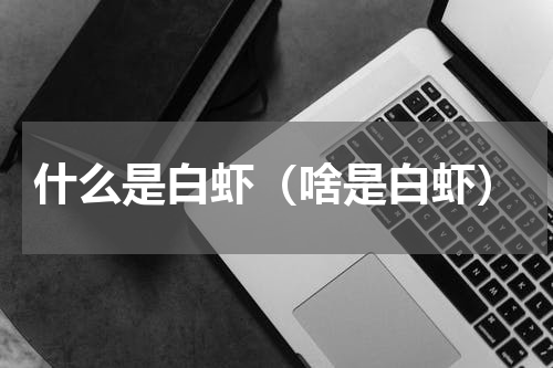 什么是白虾（啥是白虾）