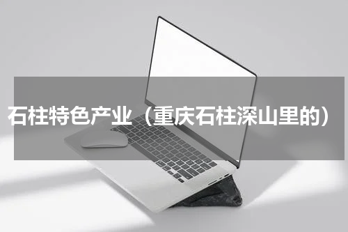 石柱特色产业（重庆石柱深山里的）