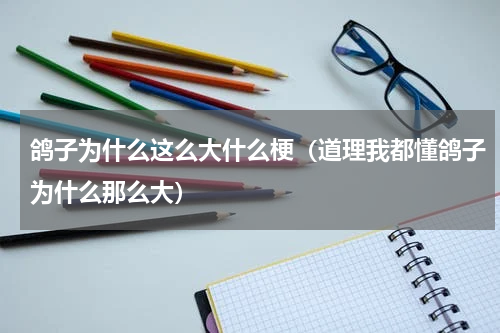 鸽子为什么这么大什么梗（道理我都懂鸽子为什么那么大）
