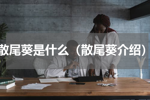 散尾葵是什么（散尾葵介绍）