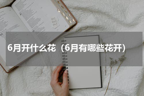 6月开什么花（6月有哪些花开）