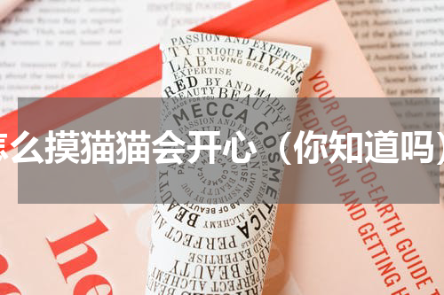 怎么摸猫猫会开心（你知道吗）