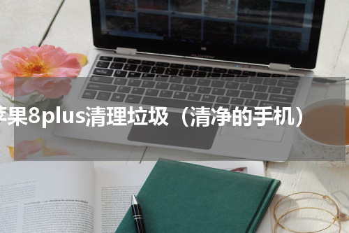 苹果8plus清理垃圾（清净的手机）