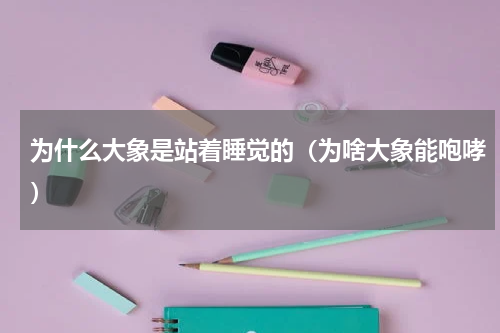 为什么大象是站着睡觉的（为啥大象能咆哮）