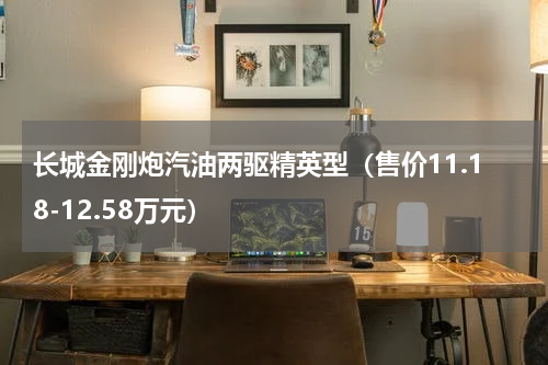 长城金刚炮汽油两驱精英型（售价11.18-12.58万元）