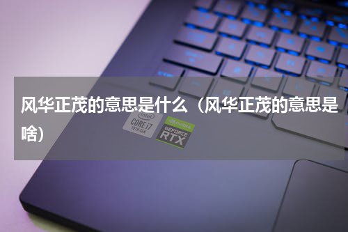 风华正茂的意思是什么（风华正茂的意思是啥）