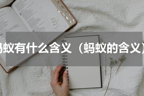 蚂蚁有什么含义（蚂蚁的含义）
