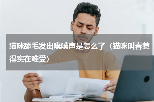 猫咪舔毛发出噗噗声是怎么了（猫咪叫春惹得实在难受）