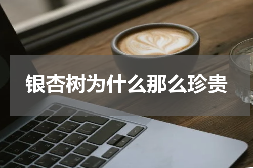 银杏树为什么那么珍贵