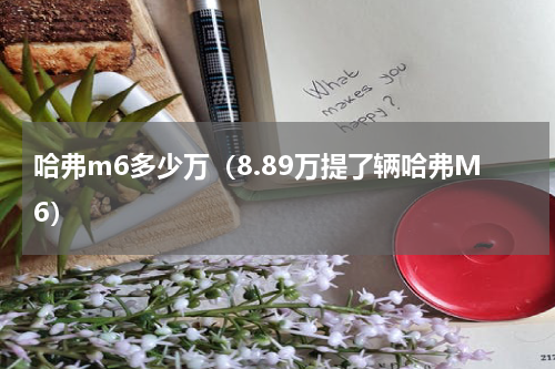 哈弗m6多少万（8.89万提了辆哈弗M6）