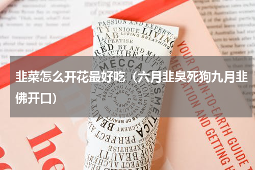 韭菜怎么开花最好吃（六月韭臭死狗九月韭佛开口）