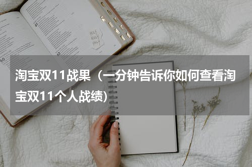 淘宝双11战果（一分钟告诉你如何查看淘宝双11个人战绩）