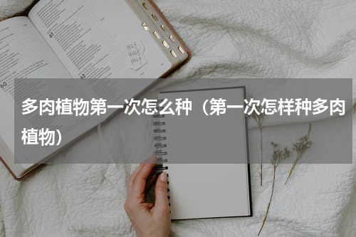 多肉植物第一次怎么种（第一次怎样种多肉植物）