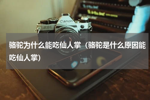 骆驼为什么能吃仙人掌（骆驼是什么原因能吃仙人掌）