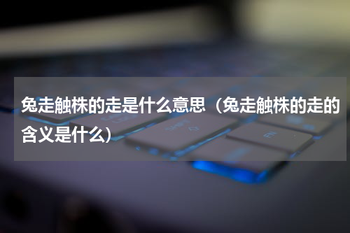 兔走触株的走是什么意思（兔走触株的走的含义是什么）