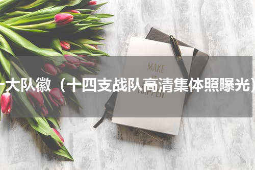 十大队徽（十四支战队高清集体照曝光）