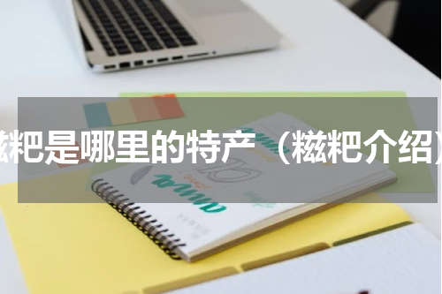 糍粑是哪里的特产（糍粑介绍）