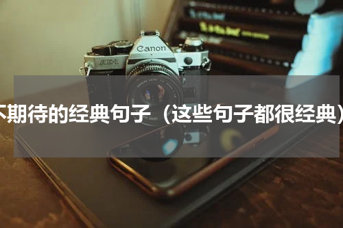 不期待的经典句子（这些句子都很经典）