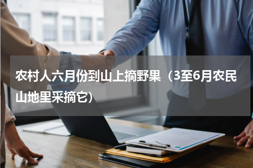 农村人六月份到山上摘野果（3至6月农民山地里采摘它）