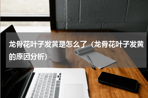 龙骨花叶子发黄是怎么了（龙骨花叶子发黄的原因分析）