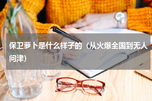 保卫萝卜是什么样子的（从火爆全国到无人问津）