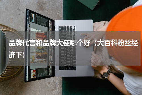 品牌代言和品牌大使哪个好（大百科粉丝经济下）
