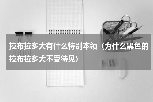 拉布拉多犬有什么特别本领（为什么黑色的拉布拉多犬不受待见）