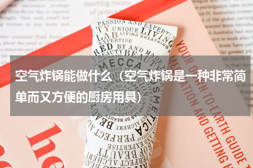 空气炸锅能做什么（空气炸锅是一种非常简单而又方便的厨房用具）